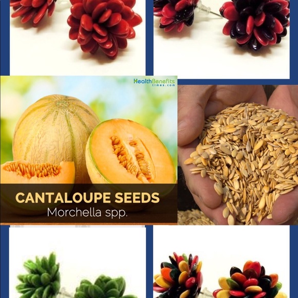 Earrings - Picture 7 of 7